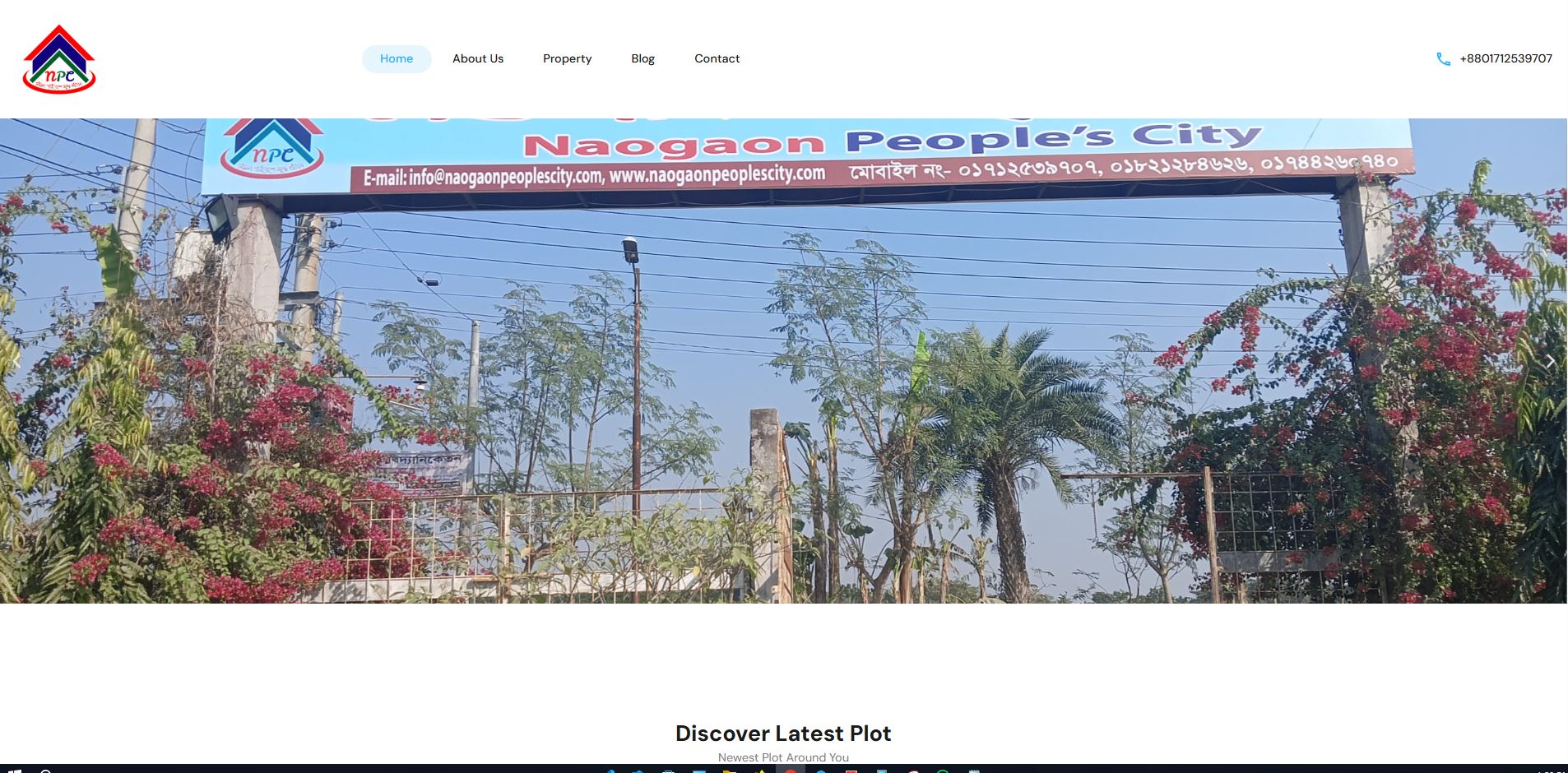 portfolio image 2