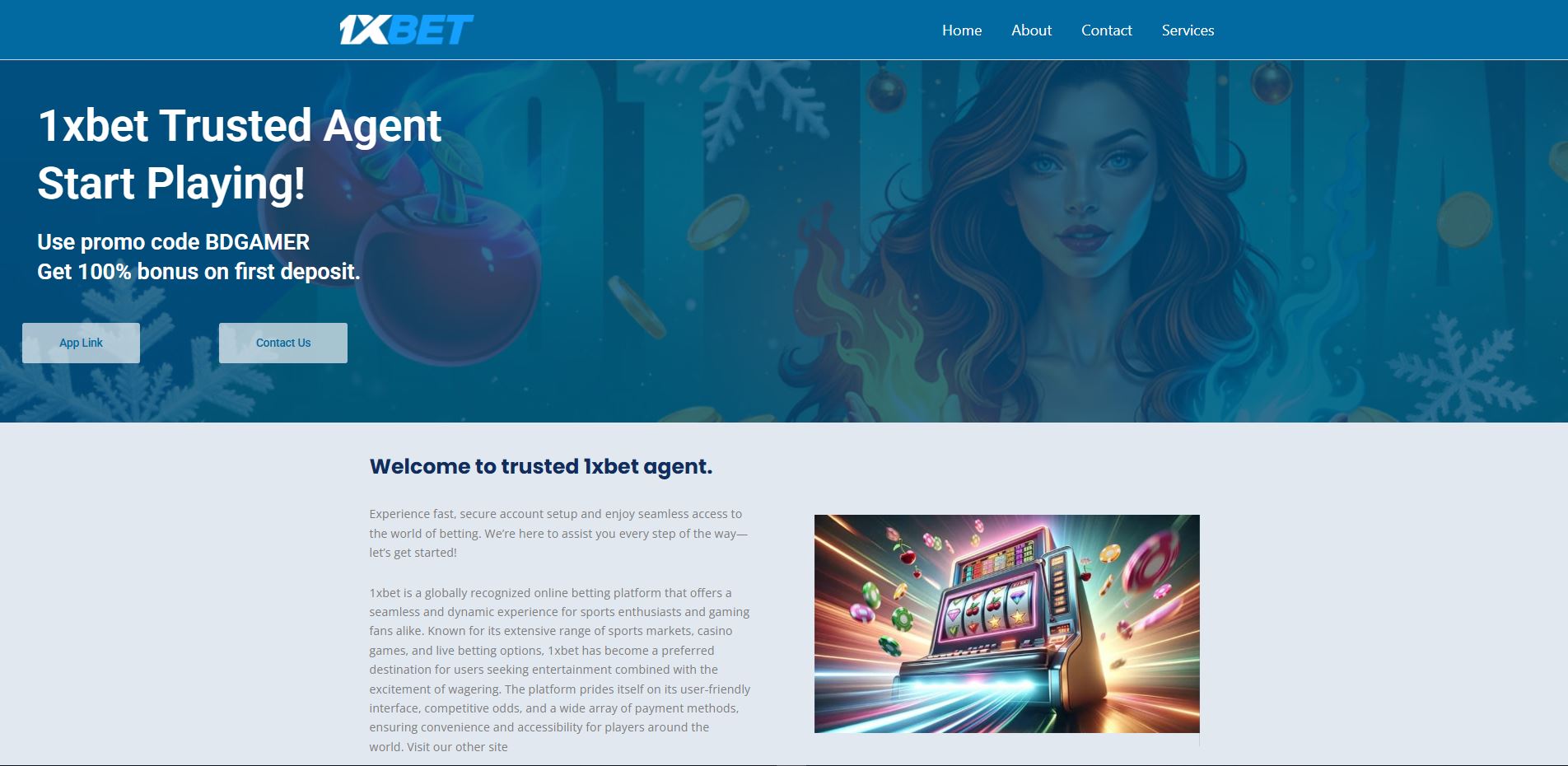 portfolio image 2