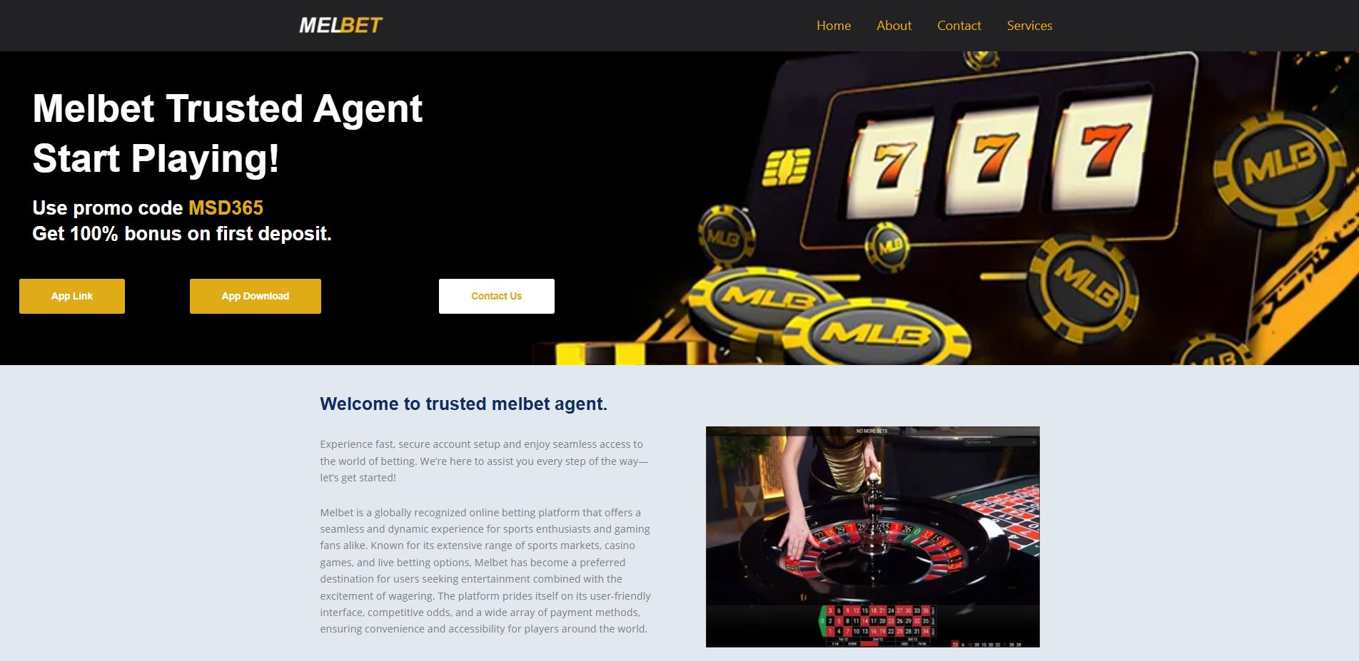 portfolio image 2